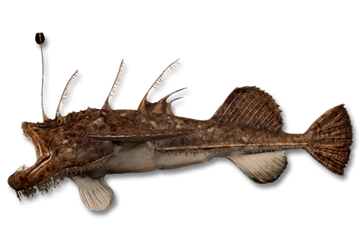 Морской чёрт